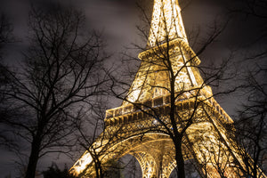 Eiffel Tower Trees