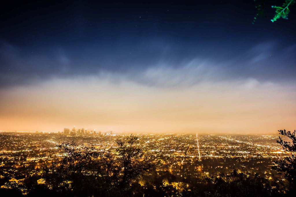 Los Angeles Skyline from the Hills